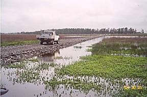 Ecoflex E Pave through swamp for Energy Australia Project