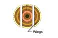Azobuild - Building Techbnology - Wings
