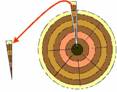AzoBuild - Building Technology - Radial Sawn Timber