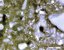 AZoM - Metals, Ceramics, Polymer and Composites : Microstructure of Concrete Roof Tiles